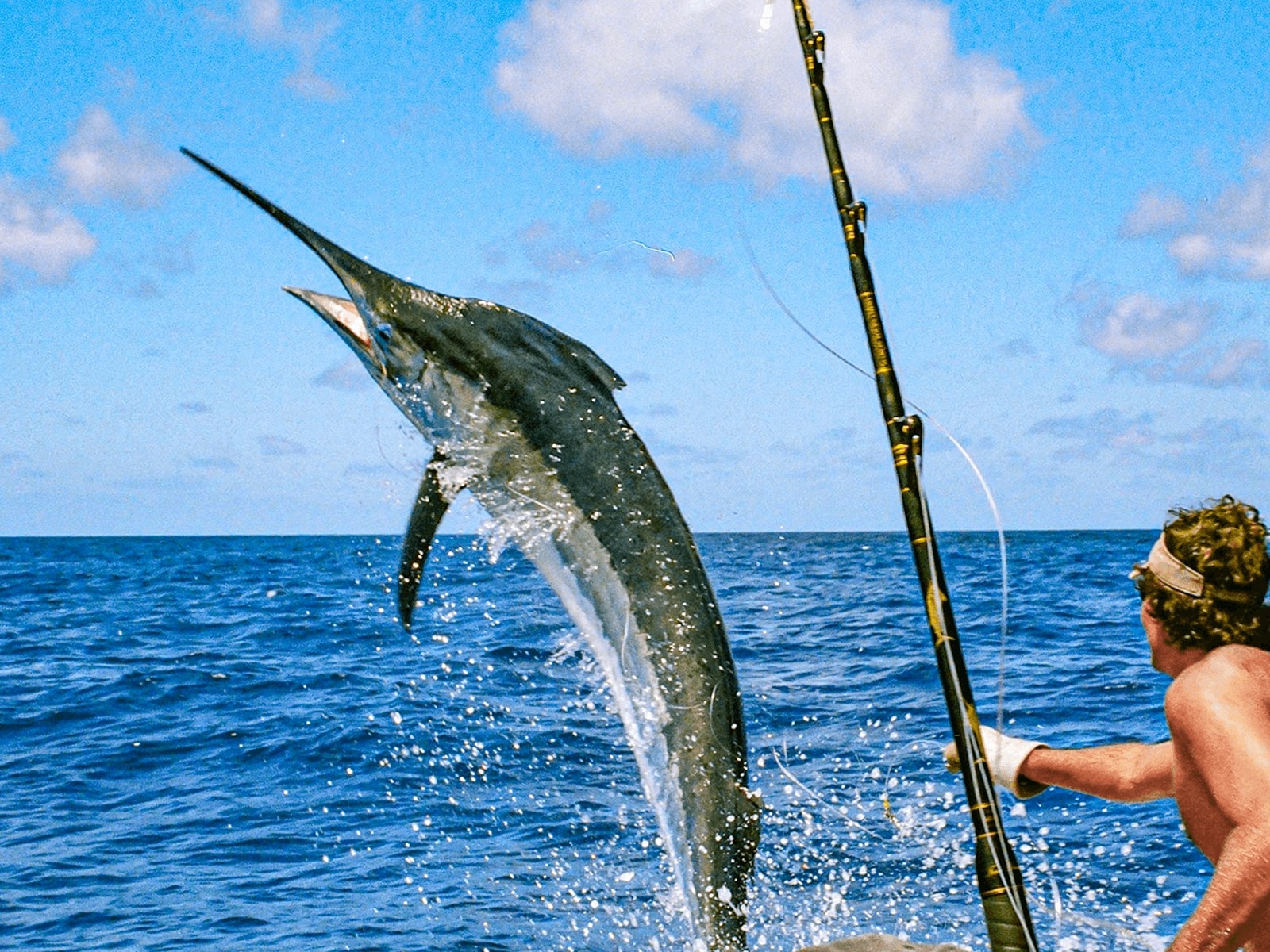 Fishing in Los Cabos